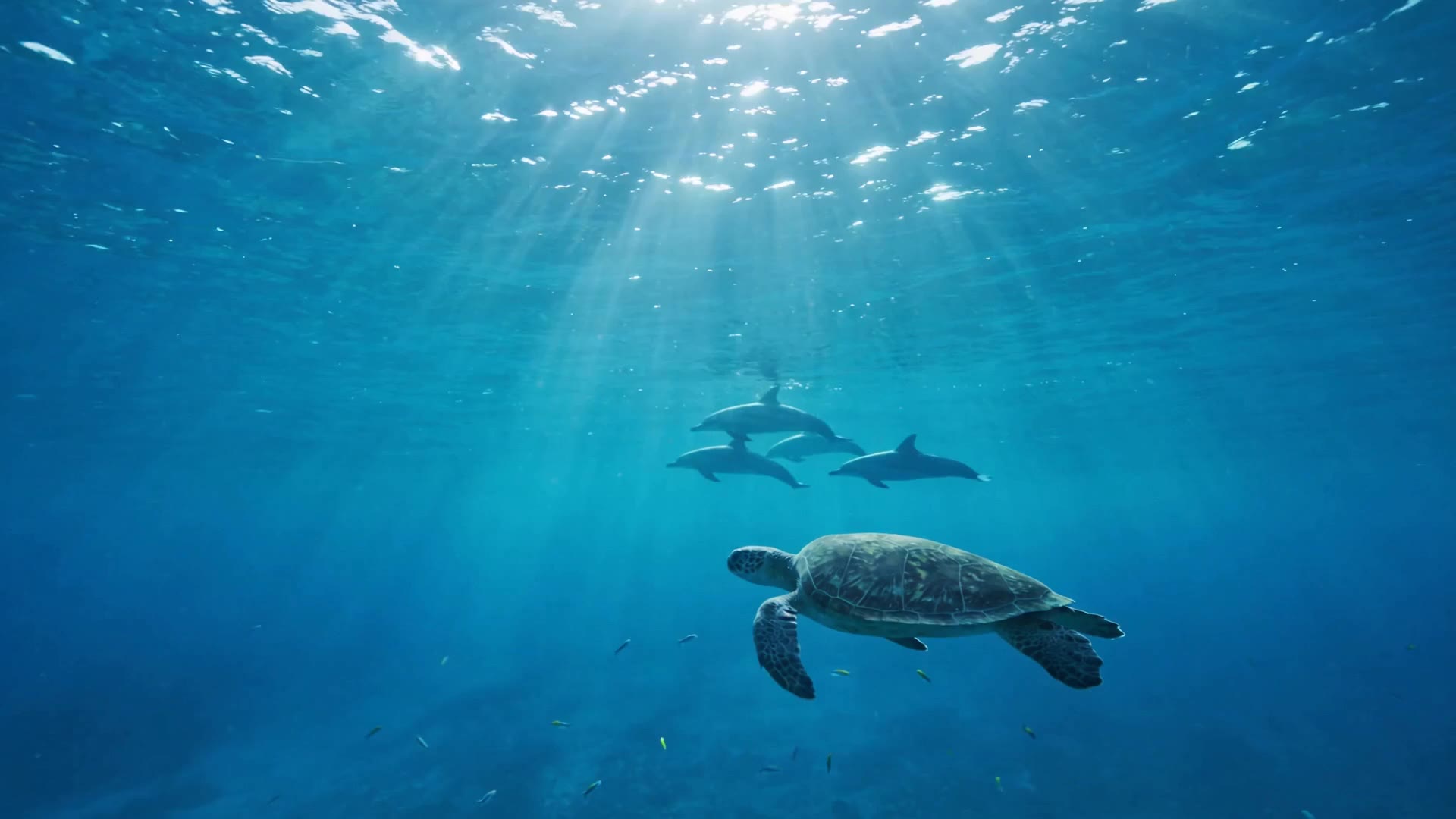 Sunlight breaking through the ocean surface