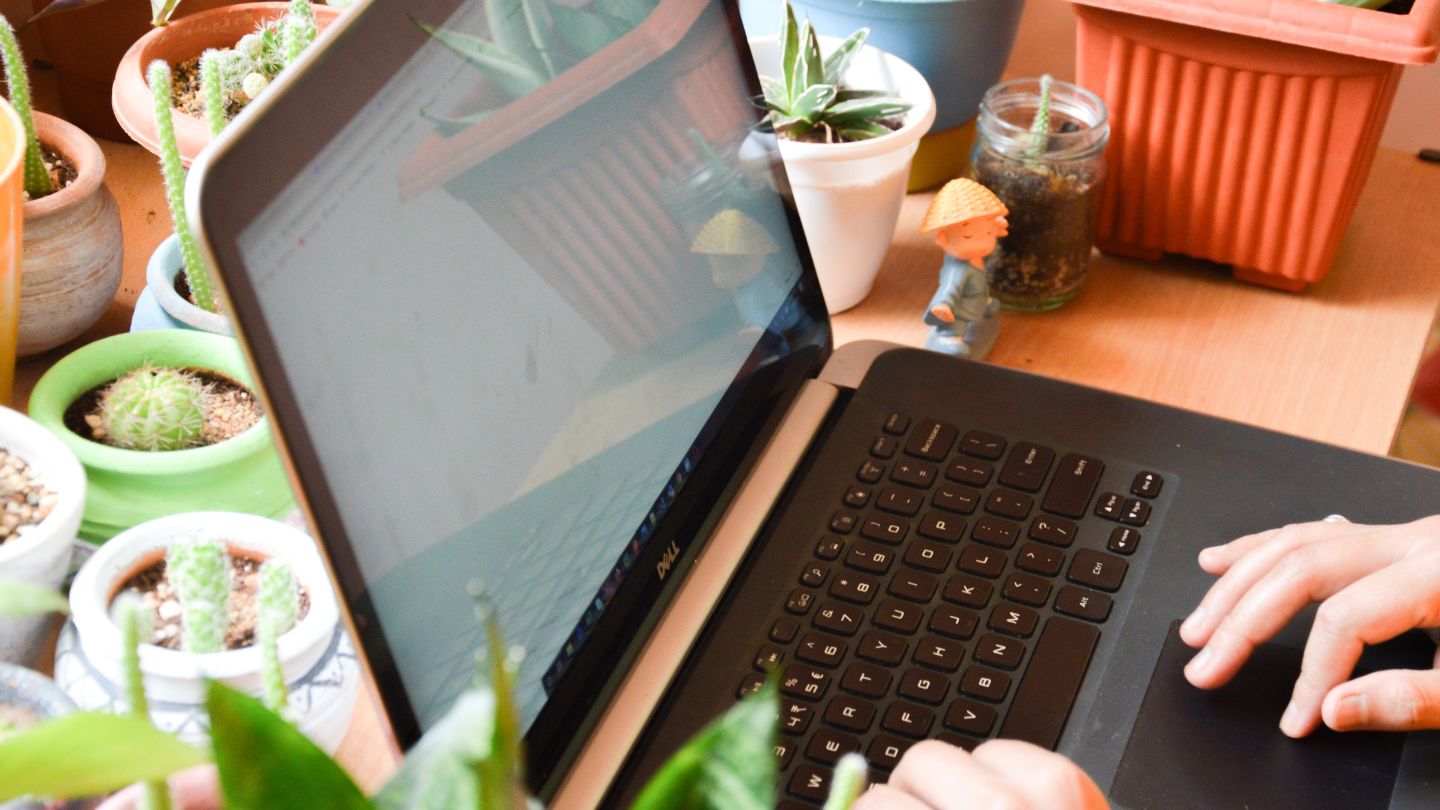 How to Optimize Content for Search Intent